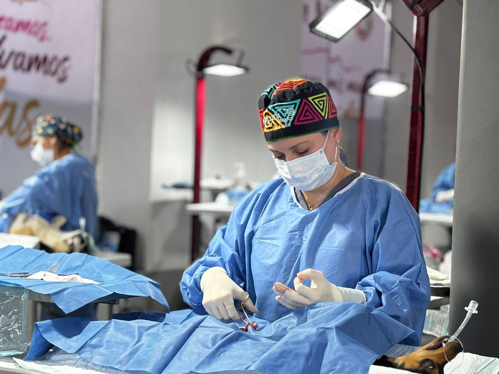 Veterinary professionals collaborating in a clinical setting